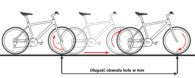Pomiar obwodu koła do ustawienia licznika rowerowego