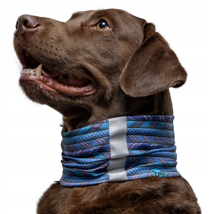 CHUSTA BUFF Dog Neckwear R-CORDES BLUE M/L