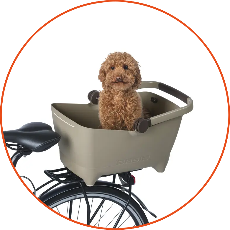 Koszyk rowerowy dla psa lub kota Basil Buddy MIK 2.0