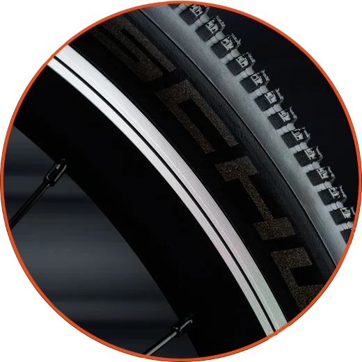 EARLYRIDERBELTER20AUTO