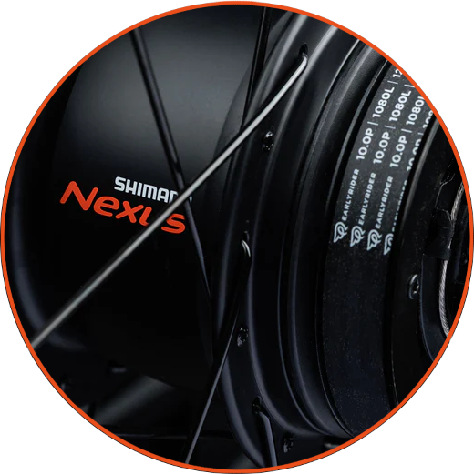 Rower dziecięcy Early Rider Belter 24