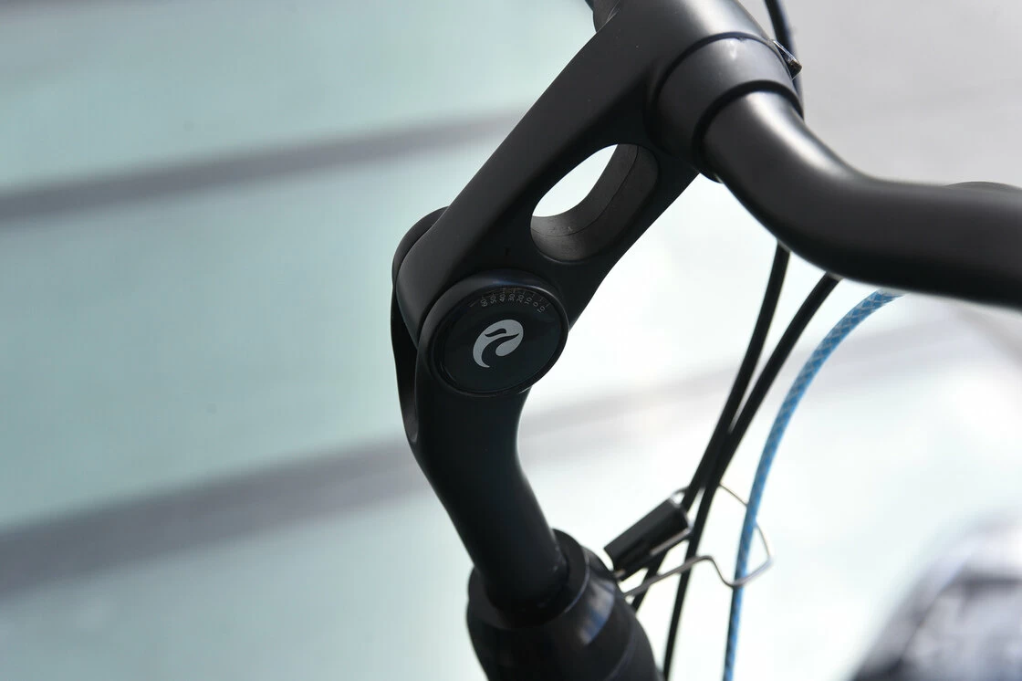 Batavus Dinsdag Comfort N7