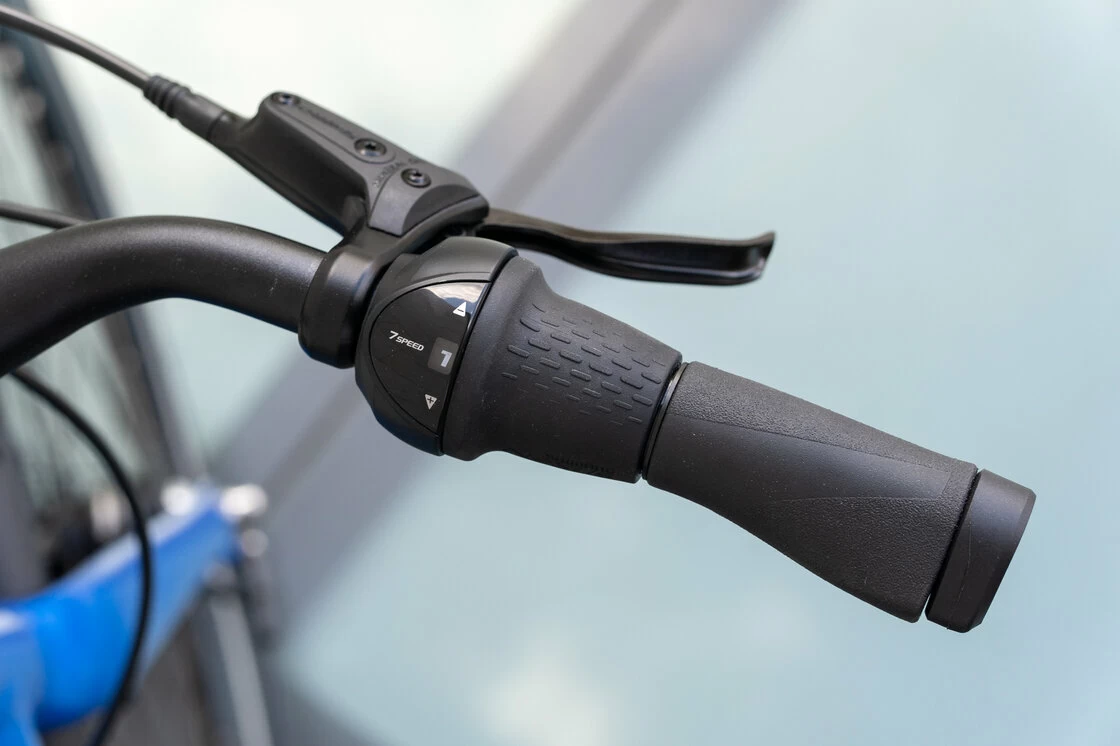 Batavus Dinsdag Exclusive Belt N7 na pasku zębatym