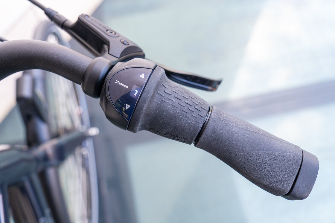 Batavus Dinsdag Exclusive Belt N7 na pasku zębatym Męski Vulkan Black