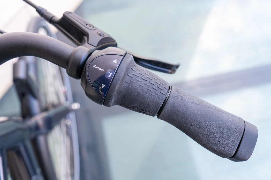 Batavus Dinsdag Exclusive Belt N7 na pasku zębatym Męski Vulkan Black 61