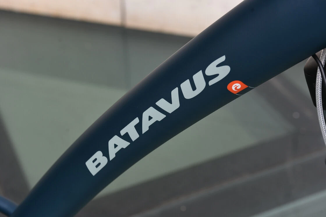 Batavus Mambo N7  Unisex Blue 48