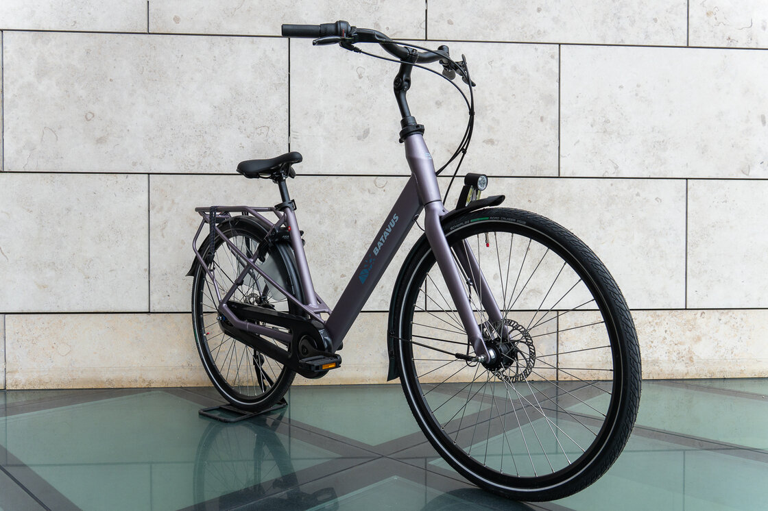 Batavus Mambo Lila Mat