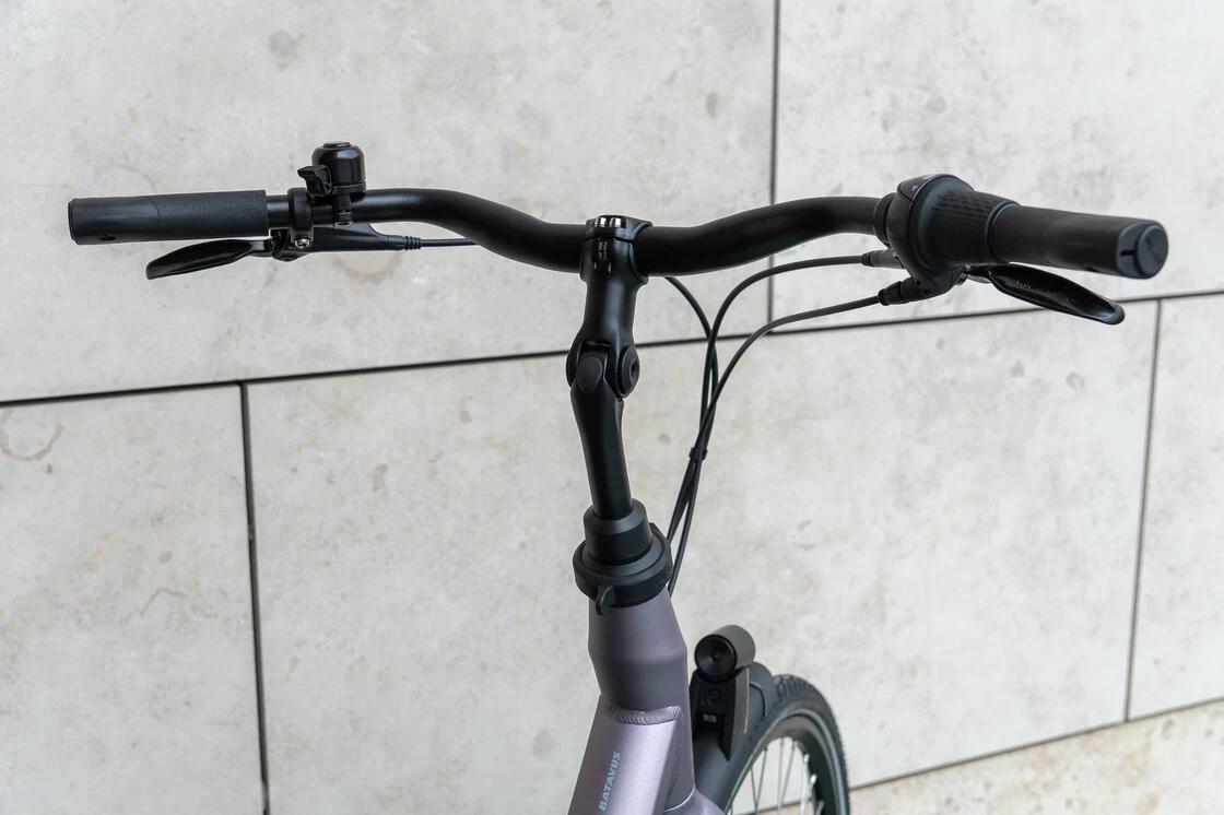 Batavus Mambo Lila Mat 55