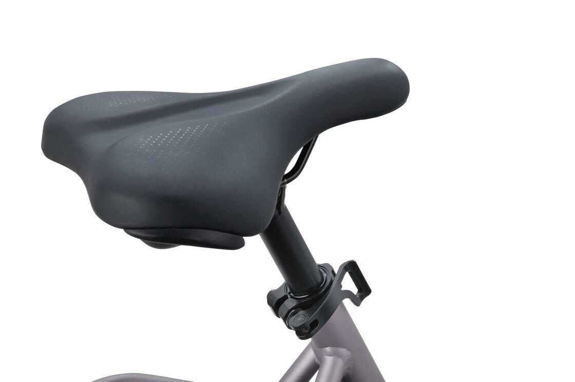 Batavus Mambo Lila Mat 61