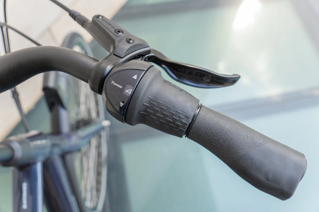 Batavus Mambo Męski Petrol Blue