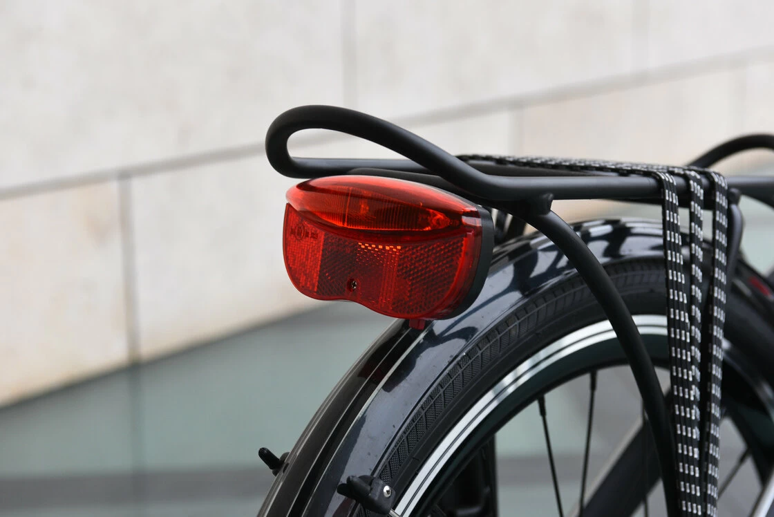 Dahon Mu Uno