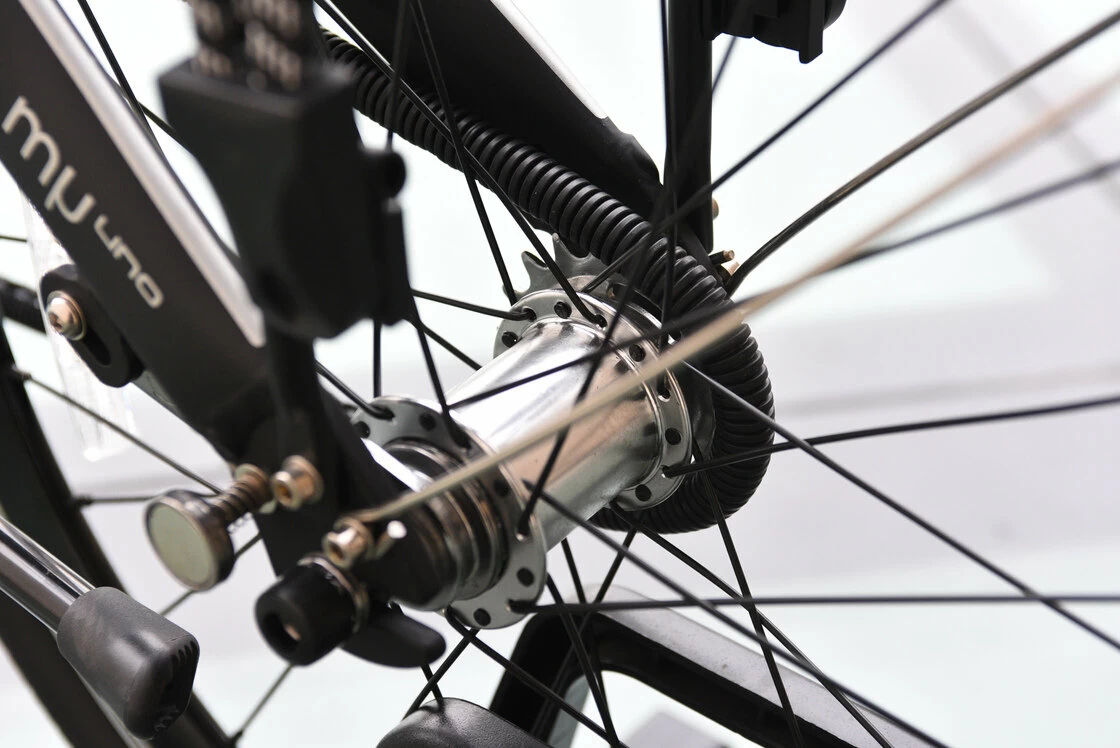 Dahon Mu Uno