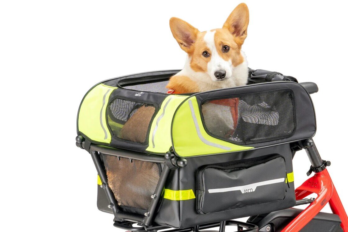 Daszek do transportera Tern Mini 