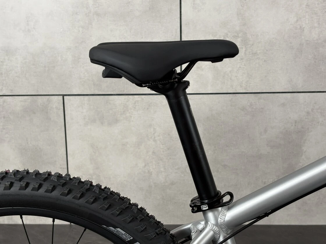 Early Rider Charger 24"  Brushed Aluminium