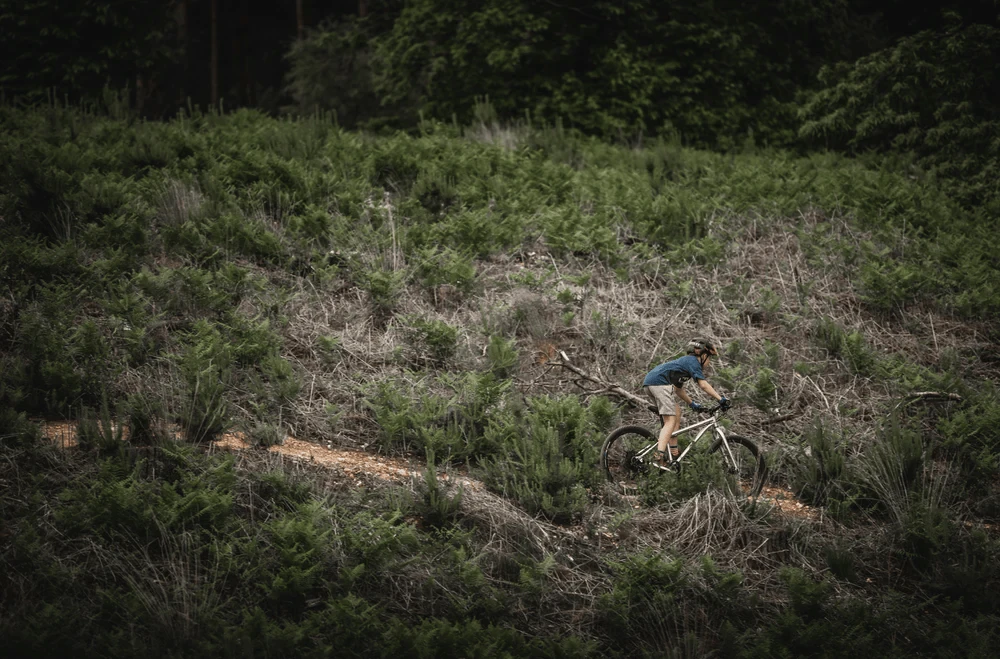 Early Rider Seeker 24 2026 Electric Purple