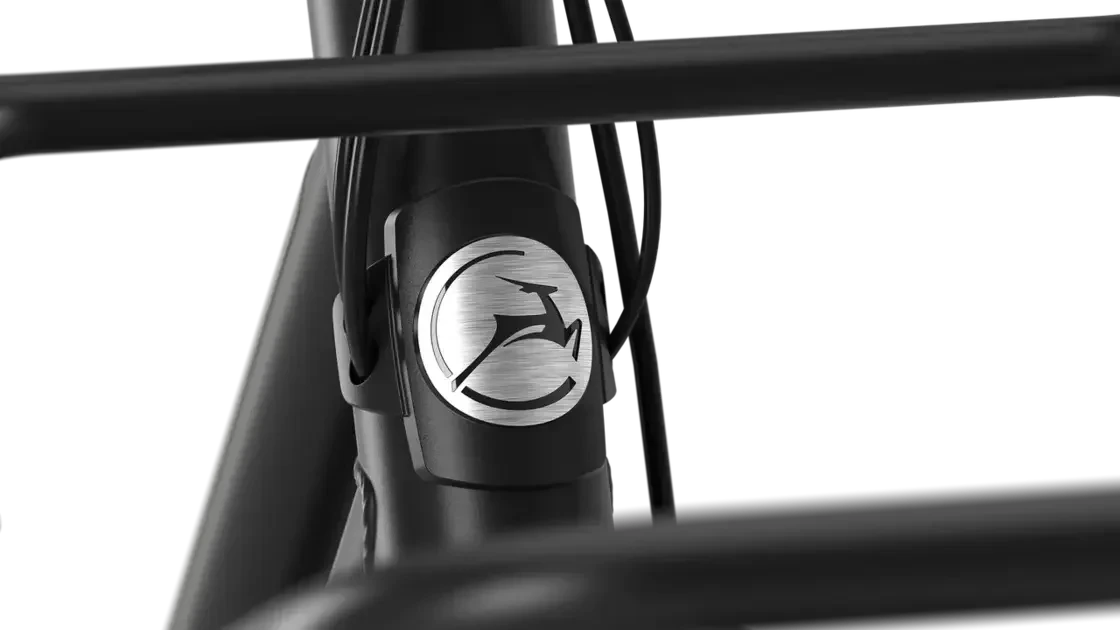 Elektryczny rower miejski Cargo Gazelle HeavyDuty C7 Bosch Smart  Unisex Black Mat