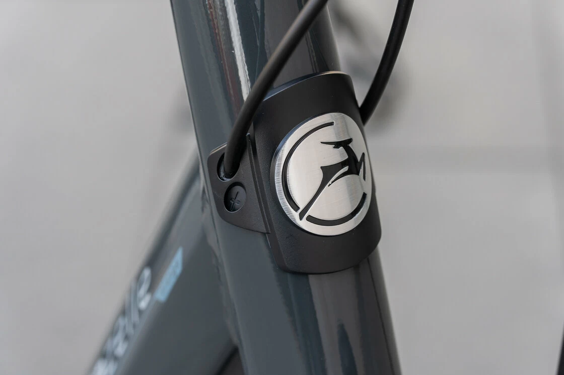 Gazelle Arroyo C7+ hamulec w pedałach Damski Anthracite Grey 53