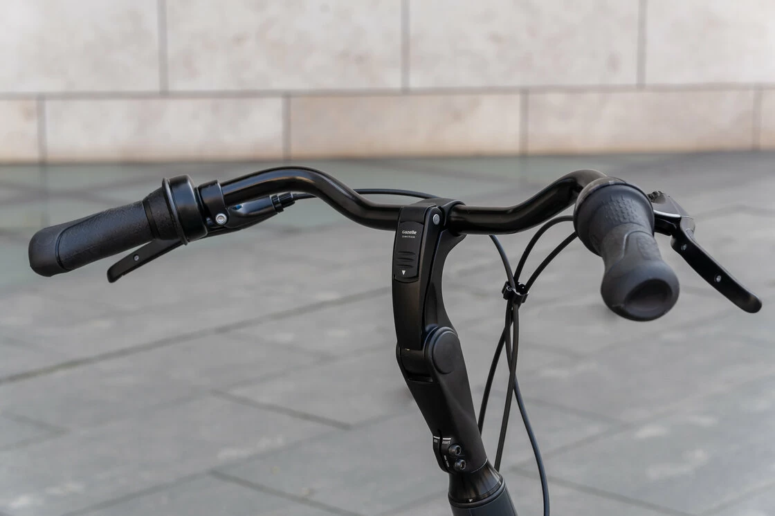 Gazelle Arroyo C7+ hamulec w pedałach Damski Anthracite Grey 57