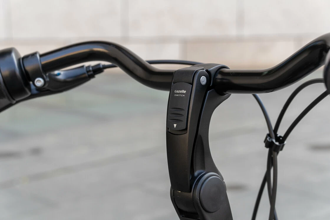Gazelle Arroyo C7+ hamulec w pedałach Damski Anthracite Grey 57