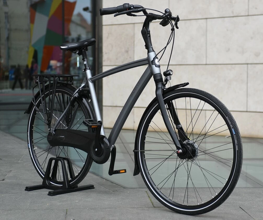Gazelle Chamonix C7 Męski Industry Grey Mat 61