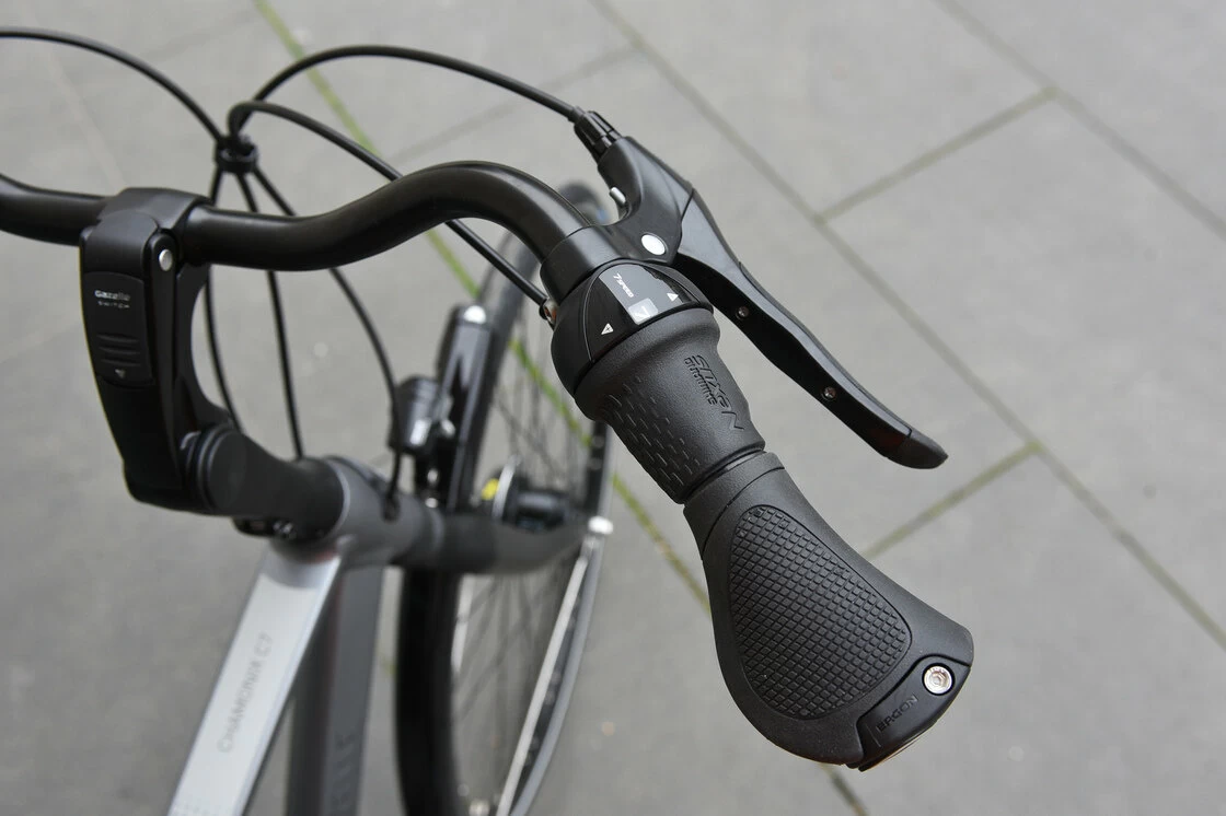 Gazelle Chamonix C7 Męski Industry Grey Mat 61