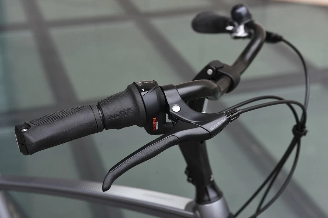 Gazelle Chamonix C7 Męski Industry Grey Mat 61