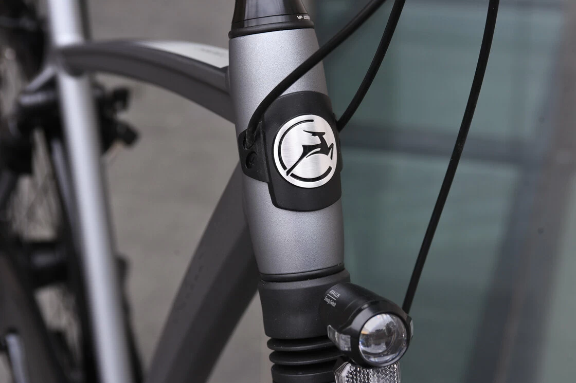 Gazelle Chamonix C7 Męski Industry Grey Mat 61