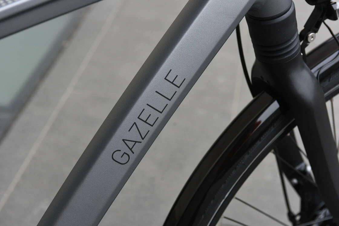 Gazelle Chamonix C7 Męski Industry Grey Mat 61