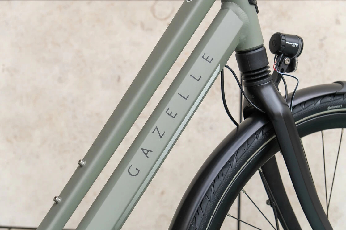 Gazelle Chamonix C8 Clay Green (mat)