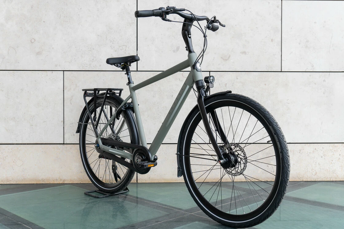 Gazelle Chamonix C8 Męski Clay Green (mat) 57