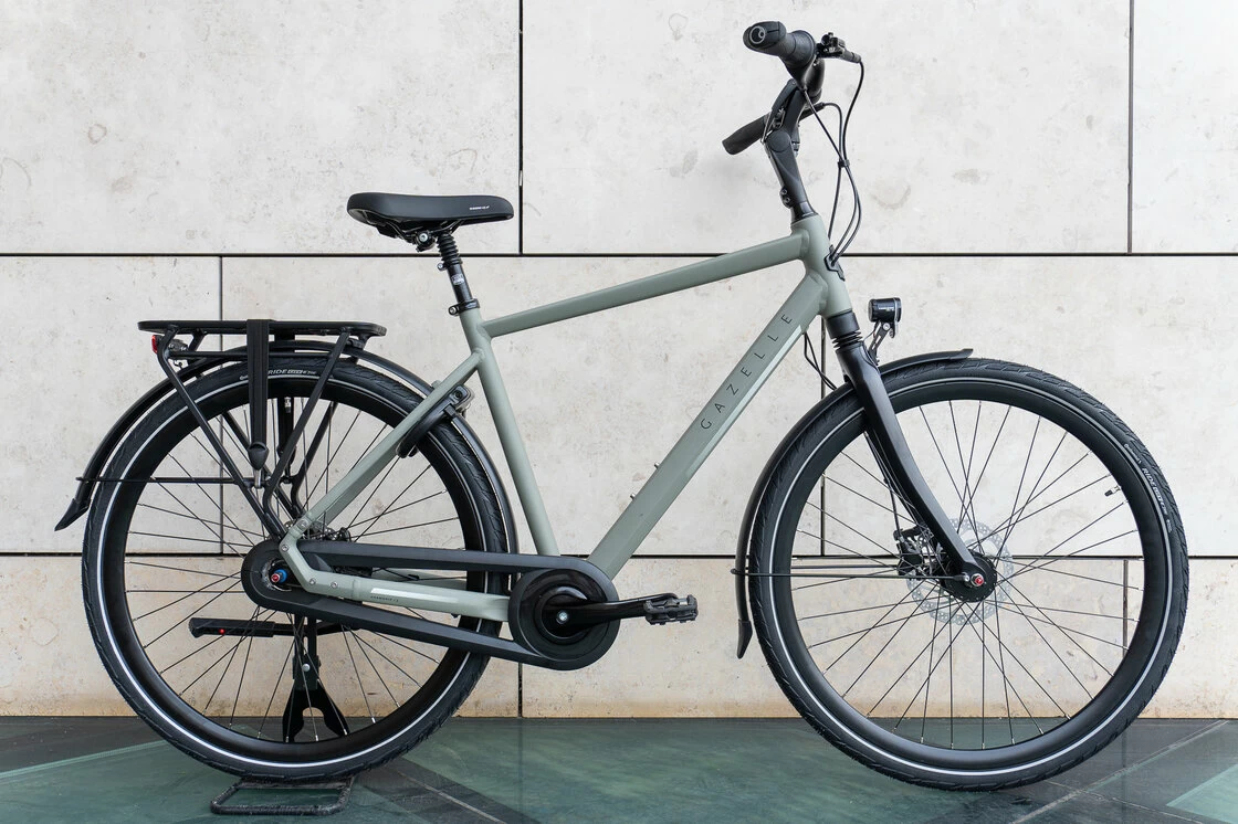 Gazelle Chamonix C8 Męski Clay Green (mat) 57