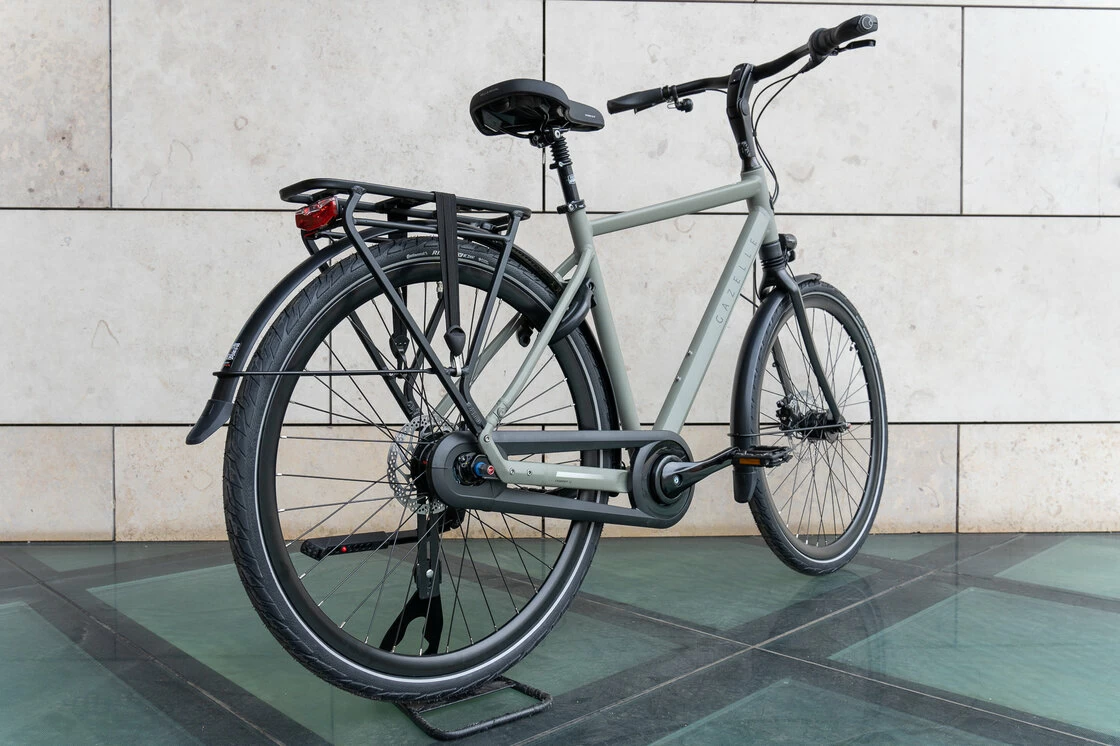 Gazelle Chamonix C8 Męski Clay Green (mat) 57