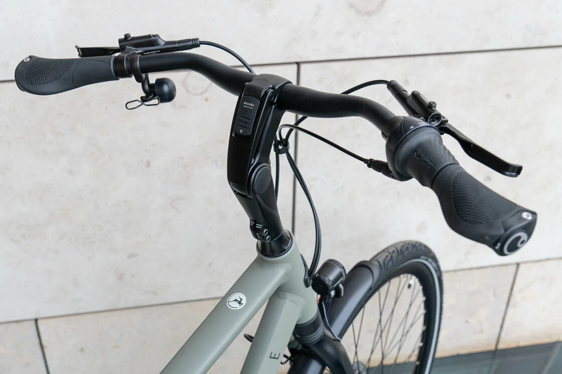 Gazelle Chamonix C8 Męski Clay Green (mat) 57
