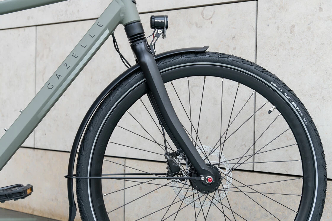 Gazelle Chamonix C8 Męski Clay Green (mat) 57