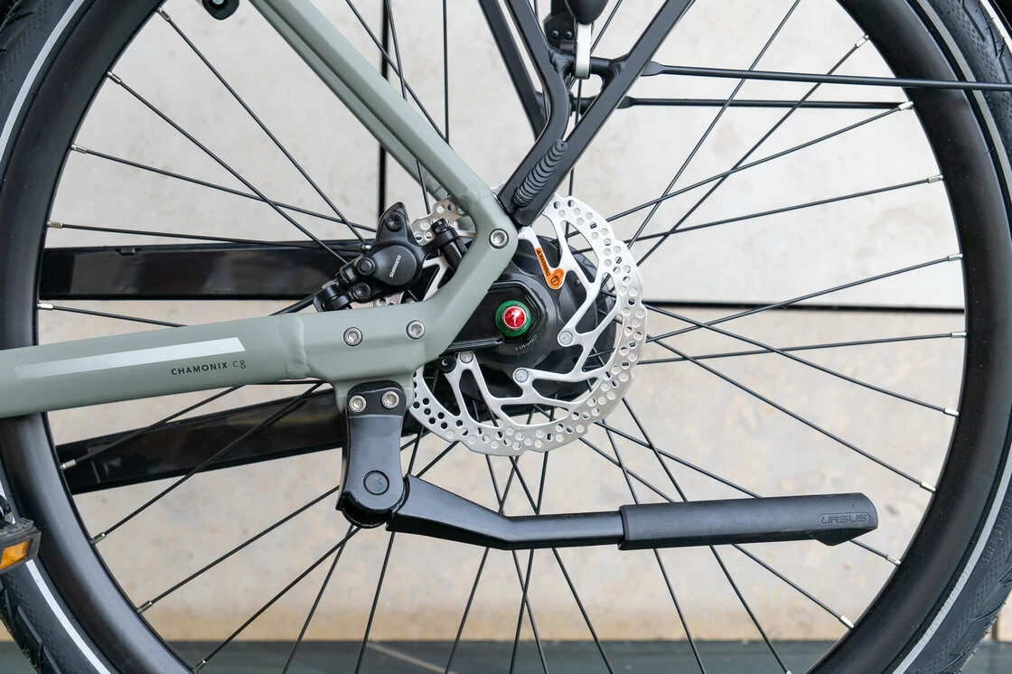 Gazelle Chamonix C8 Męski Clay Green (mat) 57