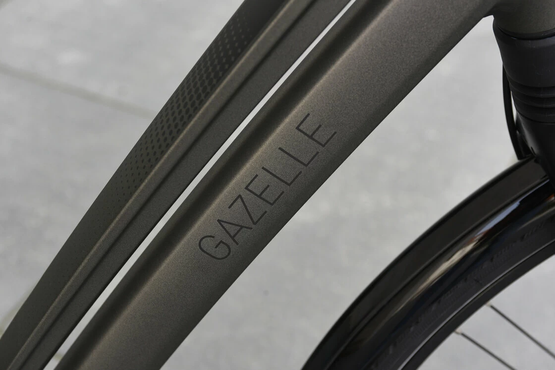 Gazelle Chamonix C8