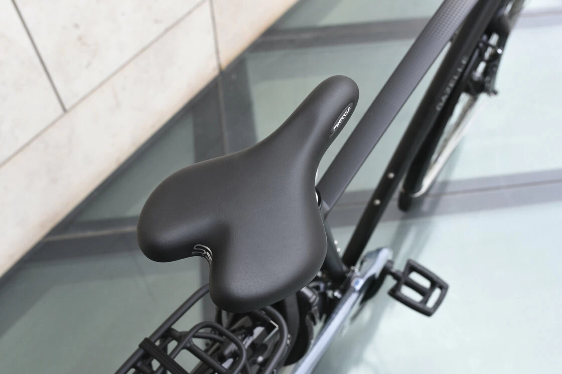 Gazelle Chamonix T27