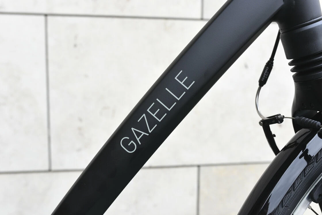 Gazelle Chamonix T27
