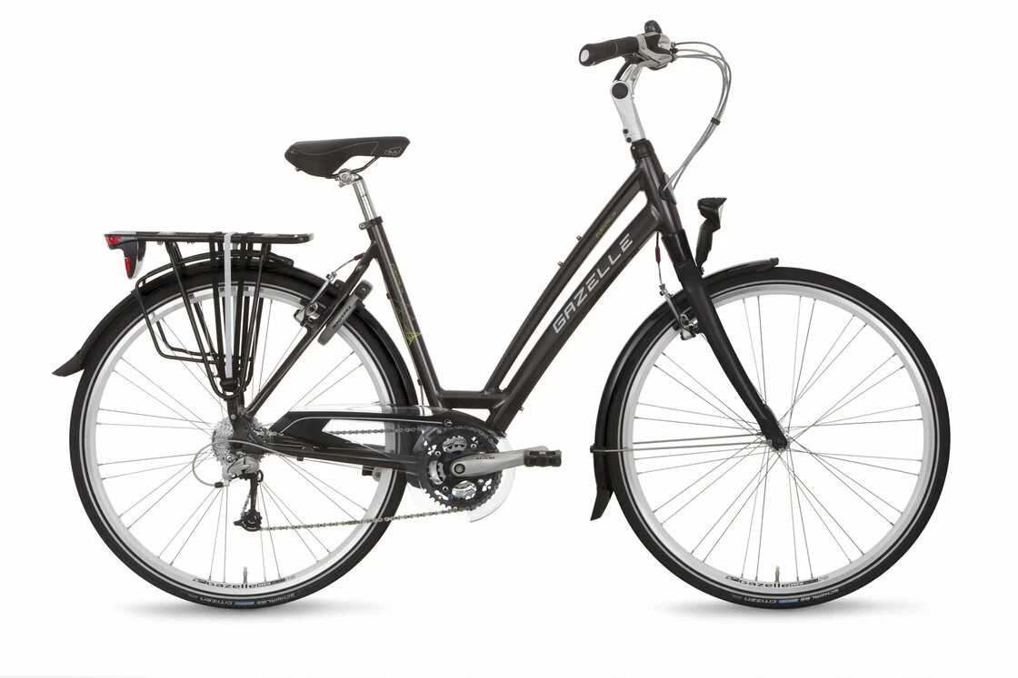 Gazelle Fuente Xtra DV24 49 cm