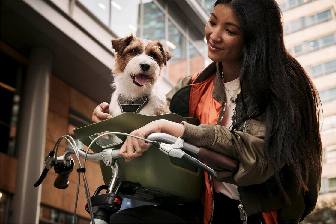 Koszyk rowerowy dla psa Kvisp Forest Green M