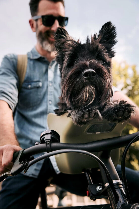 Koszyk rowerowy dla psa Kvisp Forest Green M