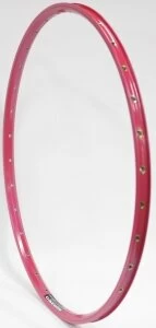 Obręcz rowerowa Rodi Vision 28" 2x16 do rowerów Gazelle Czarny / srebrny