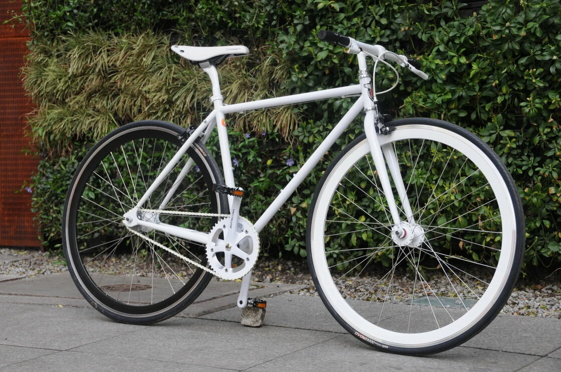 Ostre koło Bottecchia 301 HashTag 50 cm