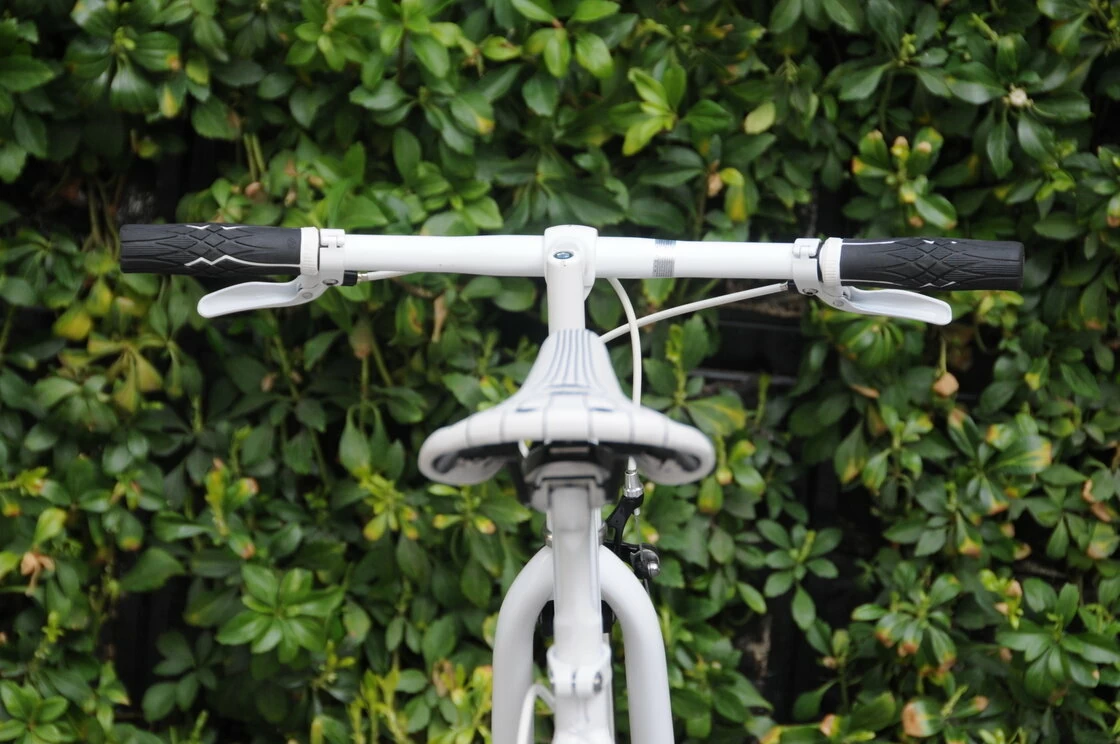 Ostre koło Bottecchia 301 HashTag 50 cm