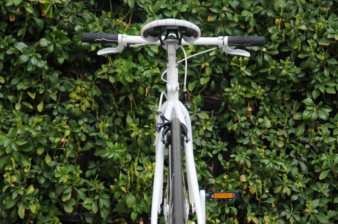 Ostre koło Bottecchia 301 HashTag 50 cm