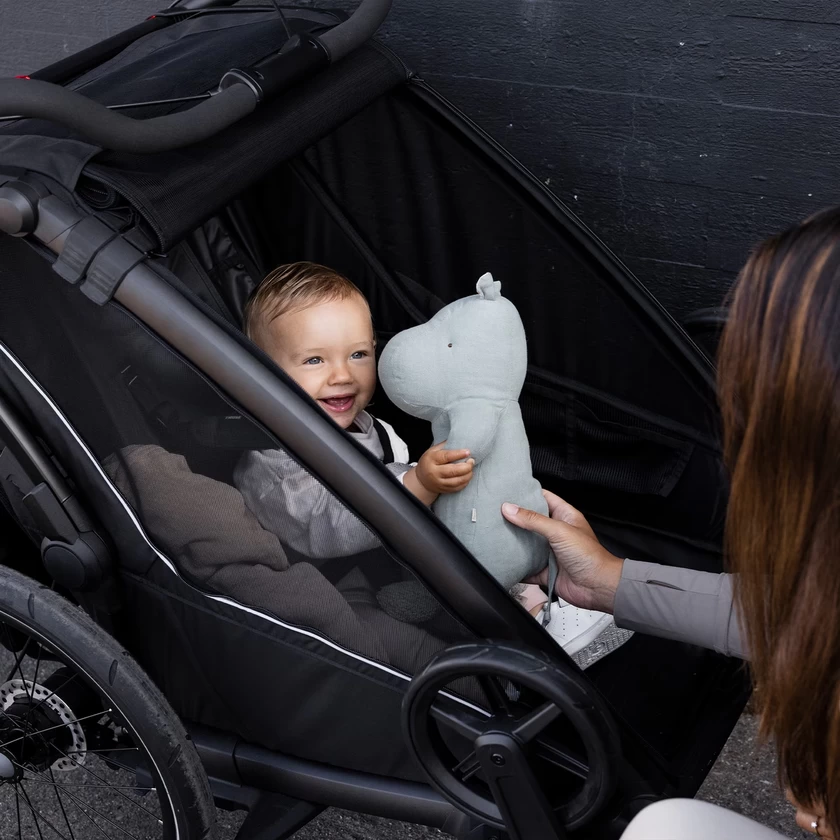 Podwójna przyczepka rowerowa Thule Chariot Sport 2 G3 Black