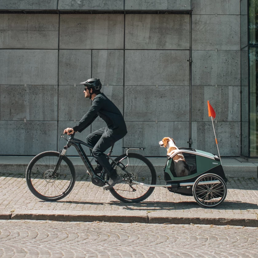 Przyczepka rowerowa dla psa Thule Bexey