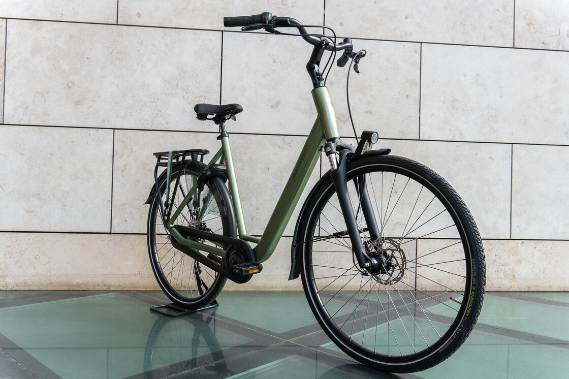Rower Batavus Senz Comfort Unisex Green Grey