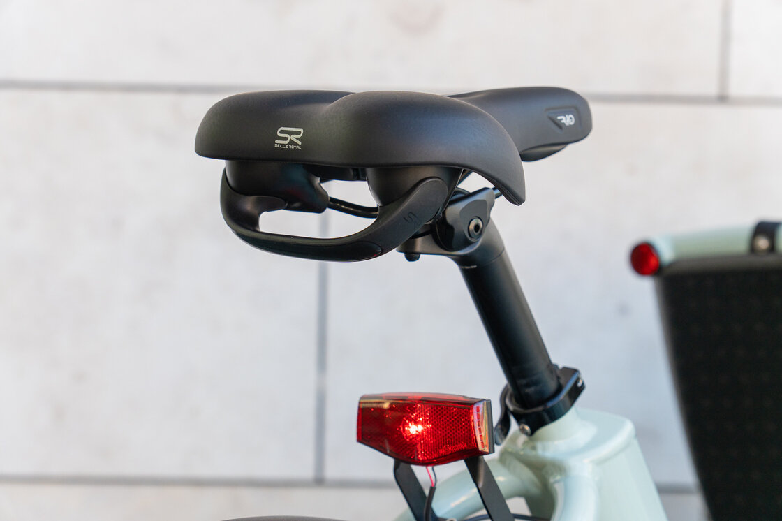 Rower Cargo elektryczny Urban Arrow Family Active Plus Connect  Zielony