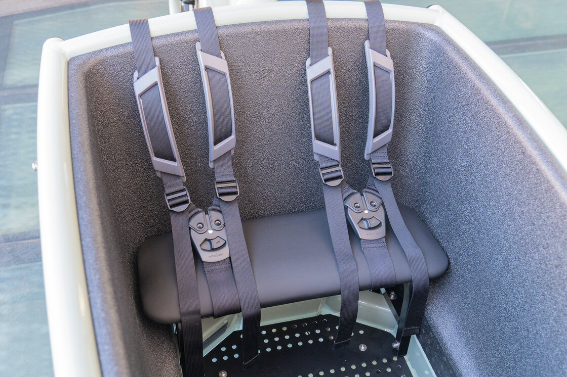 Rower Cargo elektryczny Urban Arrow Family Active Plus Connect  Zielony